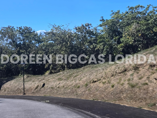 FOR SALE: 528sqm Village Residential Lot in Calamba Laguna - Ayala Greenfield Estates
