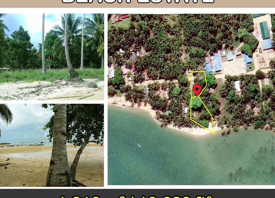 1,216 m2 / 13,088 ft2 | Charming Tropical Beach Estate