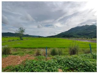 TITLED LOT IN NASUGBU BATANGAS PROPERTY : LOOC (MASANGKAY)
