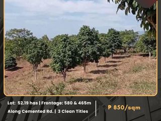 For Sale: Farmland located at Paysawan, Bagac, Bataan