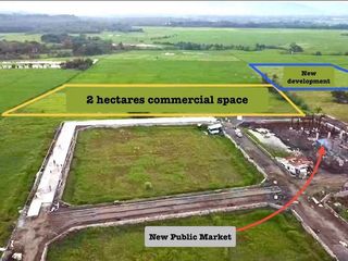 20000 sqm Lot for Rent in Masiit,Laguna