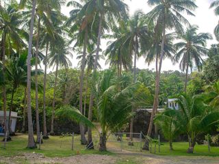 Prime Investment Beachfront Property with New Seawall and Buildings - Lowest Price for Premiere Property!