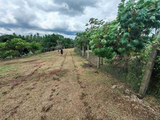 Farm Lot in Candelaria Quezon