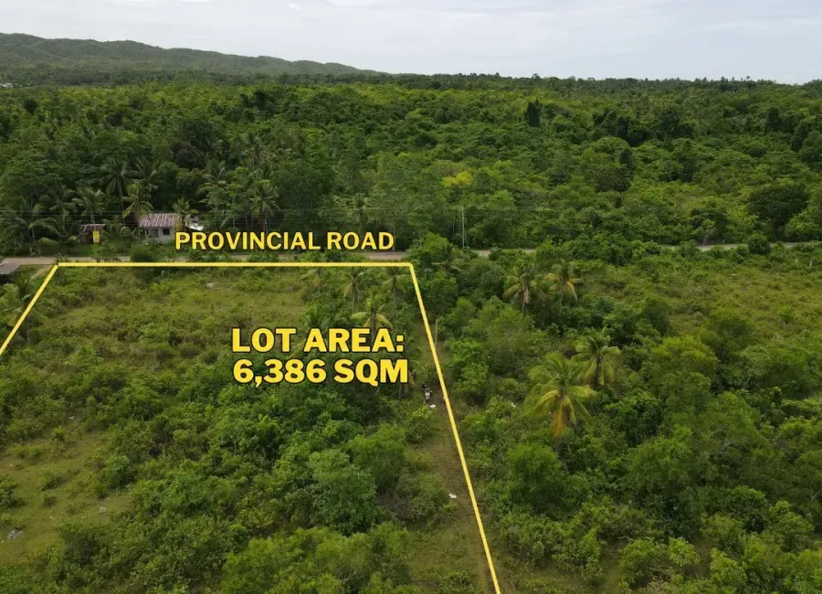 For Sale: 6,386 SQM Prime Lot in Consuelo, Camotes Island – Ideal for Resort or Commercial Use