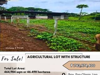 FOR SALE Agricultural Lot with Structure located at  Barangay Pag-Olingin, Lipa City, Batangas