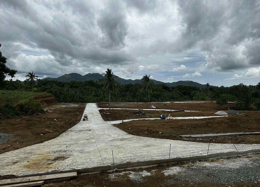 Small Farm Residential Lot for Sale, along national road, w/ mountain view, development completed - Magallanes Cavite