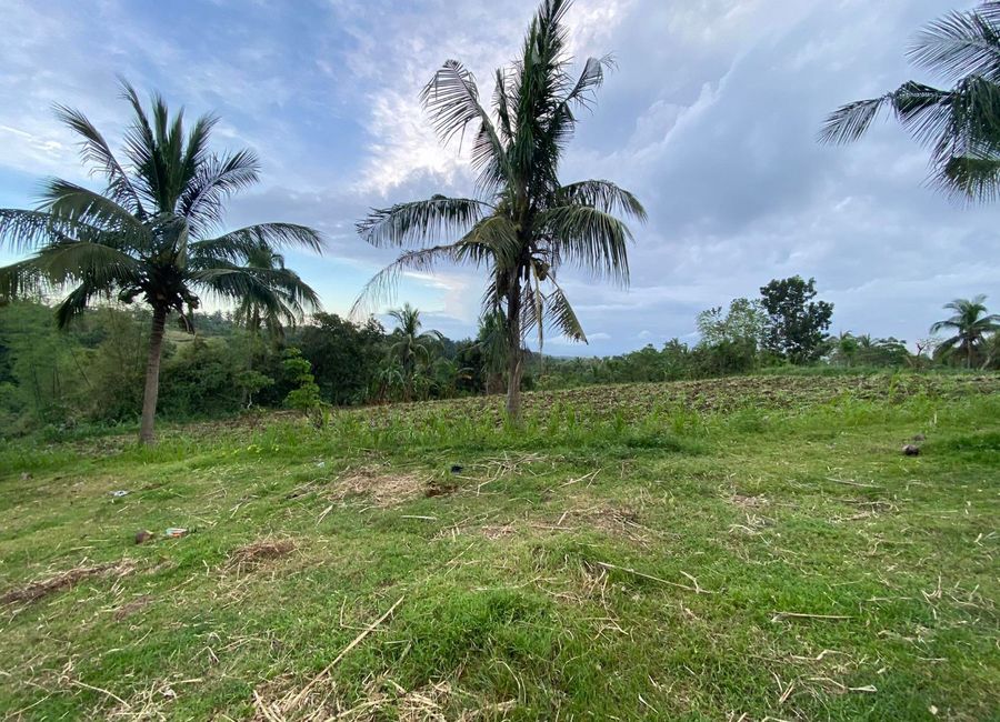 For Sale | Agricultural Lot | Calaca, Batangas