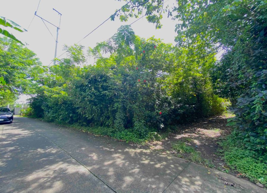 1400sqm Lot For Sale Amadeo, Cavite. P8.4m negotiable