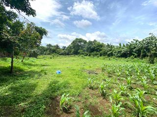 BEAUTIFUL VIEW. 1400sqm Lot For Sale, Amadeo, Cavite. Just P5k