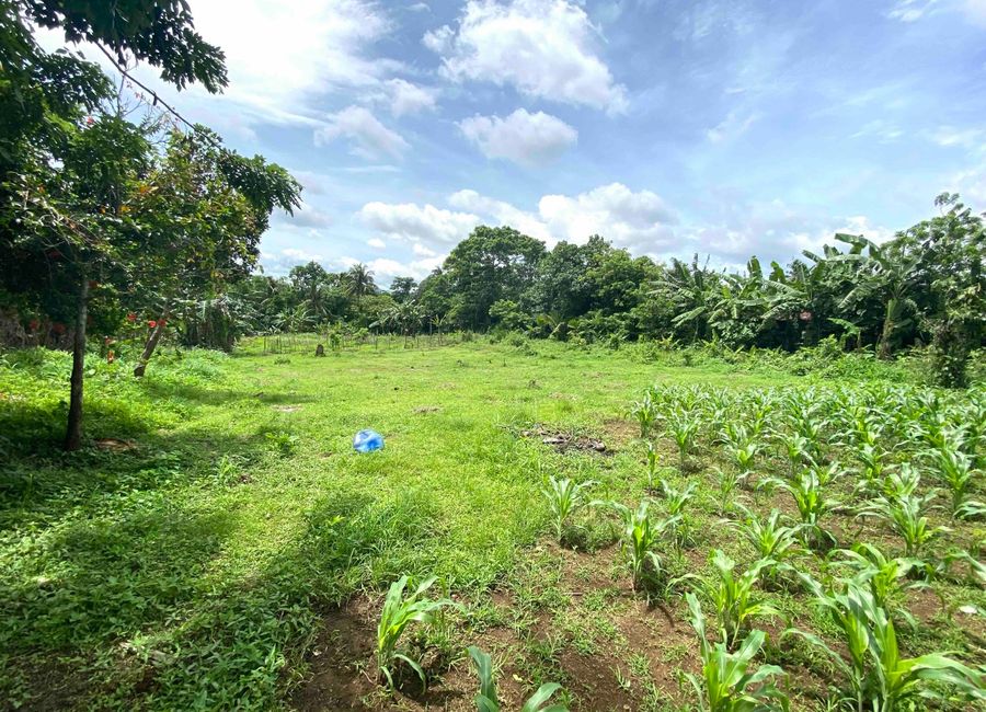 BEAUTIFUL VIEW. 1400sqm Lot For Sale, Amadeo, Cavite. Just P5k