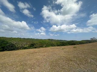 LOT FOR SALE: 560 sqm Ridgeside Residential Lot in Silang, Cavite - Lanewood Hills