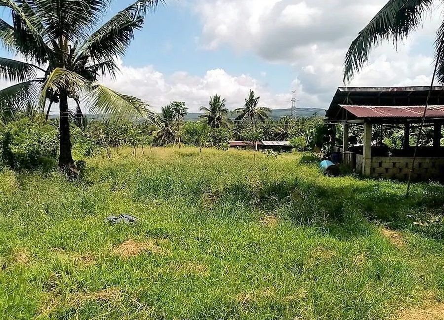 New Agricultural Lot for Sale in Palale, Tayabas Quezon