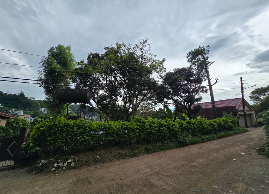 place photo 11