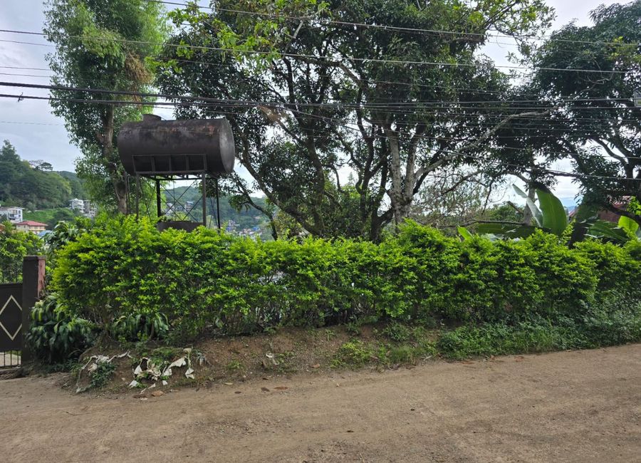 place photo 12