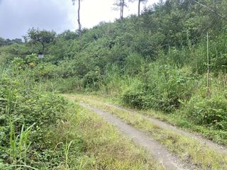 Titled Lot for Sale in Longlong, Puguis, Benguet