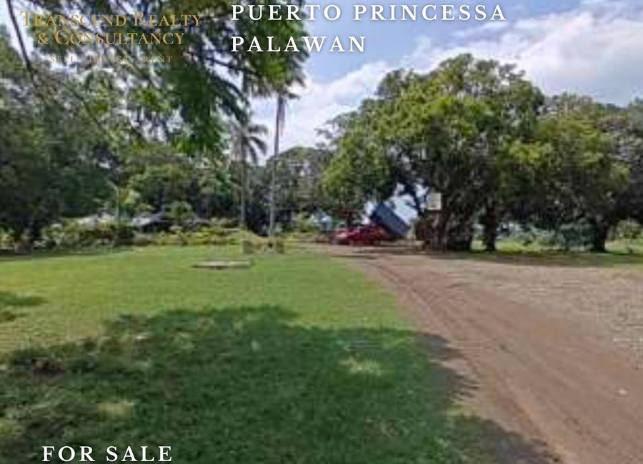 RESIDENTIAL LOT FOR SALE IN BRGY. SAN PEDRO PUERTO PRINCESA PALAWAN