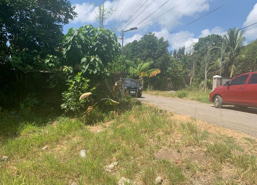 RESIDENTIAL LOT FOR SALE IN DUMAGUETE CITY ID 14892