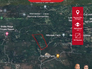 10.7 Hectare Agricultural Lot For Sale in Laiya, Batangas Best For Residential Subdivisions, Farm Lots, Eco-Tourism Resorts