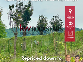 PRIME ASSET FOR SALE: 8-HA FARM IN BAGBAG, ALONG BAGUMBAYAN ROAD, TANAUAN CITY, BATANGAS