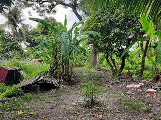 Commercial Lot for Sale  Sikatuna St. Barangay Zapatera, Cebu