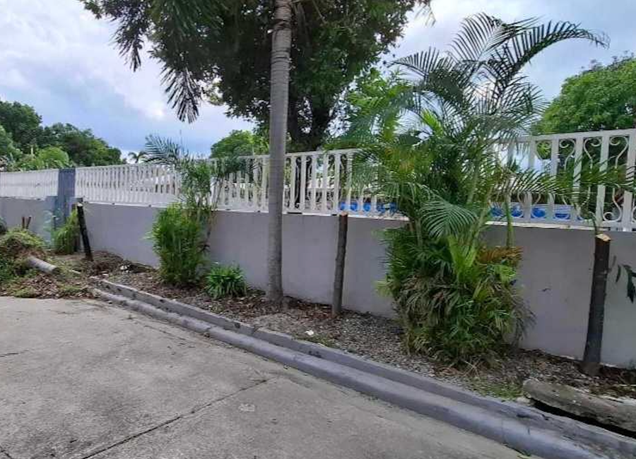Lot for sale in Timog Park Subdivision (near Clark, Friendship, Korea Town)