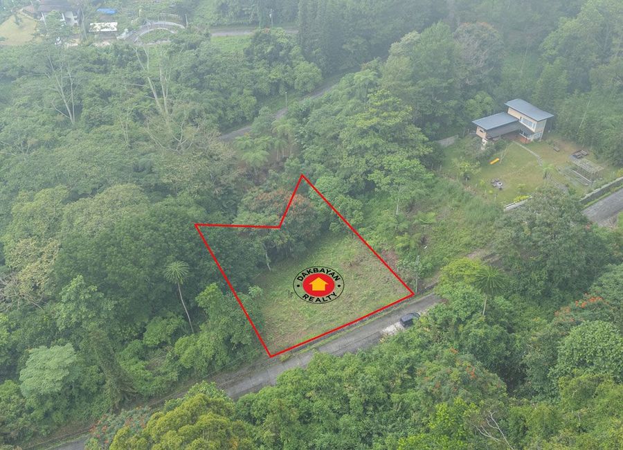 Lot For Sale in Mountain Haven Subdivision Eden Toril Davao City