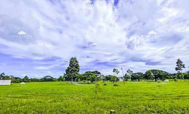 769 SQM Residential Lot for Sale in Calamba, Laguna at Soliento Nuvali | ₱40K/SQM