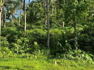 1.4 hectares lot for sale in SIARGAO