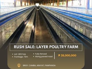 RUSH SALE: Layer Poultry Farm located at Brgy. Camba, Arayat, Pampanga