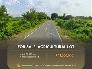 For Sale: Agricultural Lot located at Magalang Concepcion Road, Magalang, Pampanga