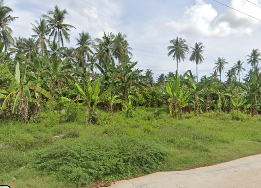 10-hectares lot in Poblacion Laguindingan