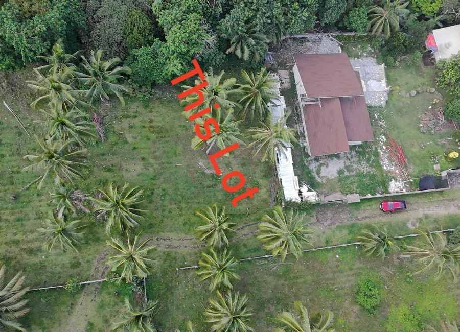 Beautiful Land For Sale in Valencia