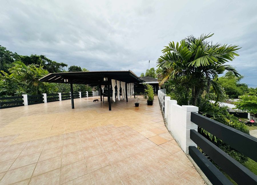 place photo 62