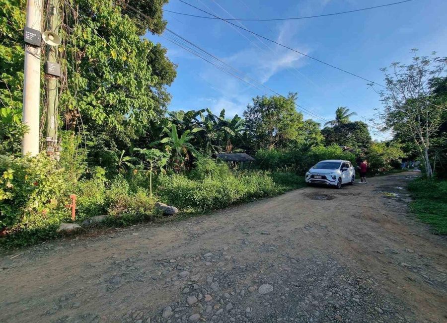 Puerto Princesa City Flood Free Area LOT For Sale