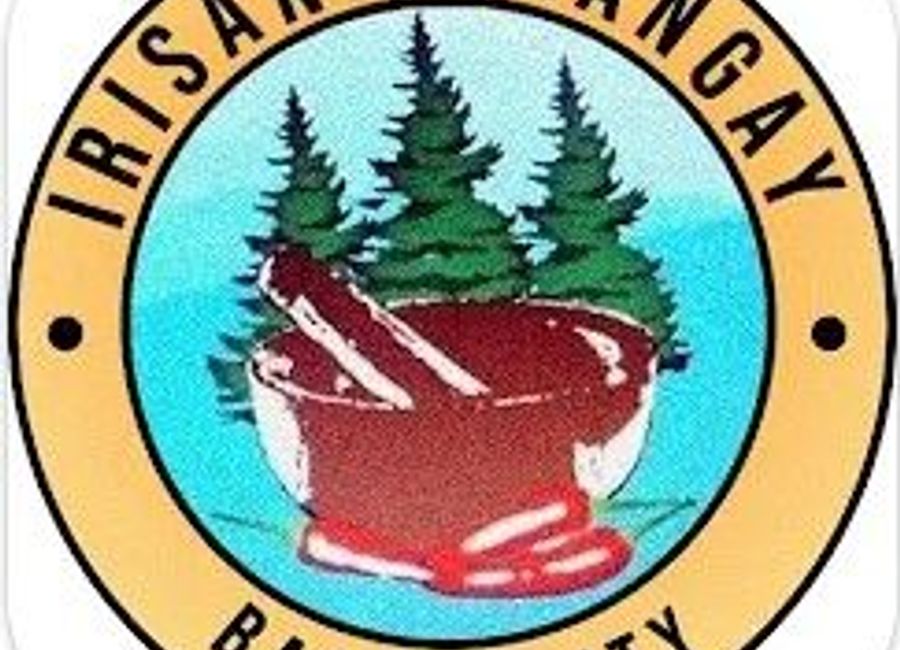 FOR SALE 1000 SQM LOT WITH HOUSE IN IRISAN BAGUIO CITY 20 MILLION