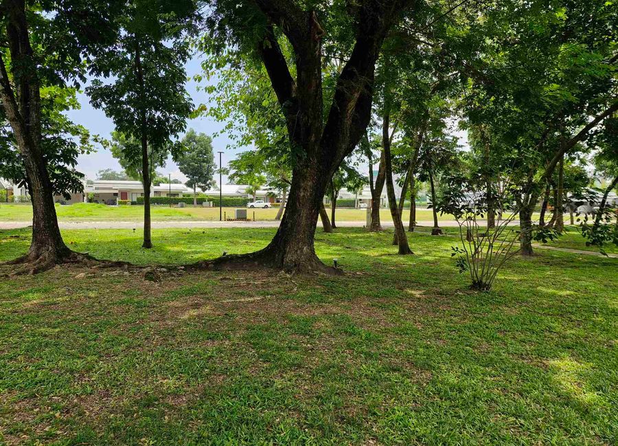 place photo 45