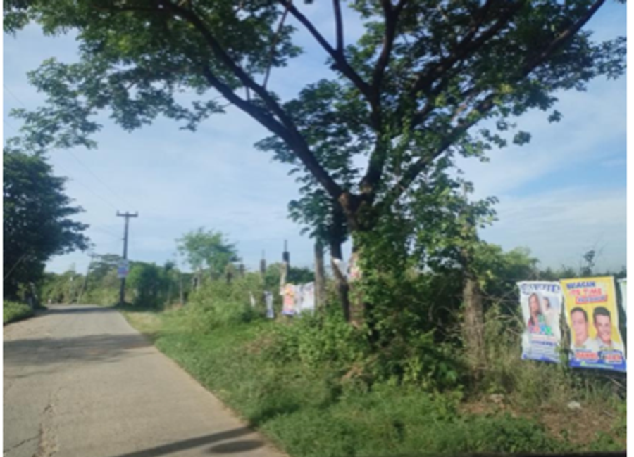 Sapang Dayap, San Ildefonso, Bulacan agricultural lot FOR SALE 8 Hecs along 6meter wide road
