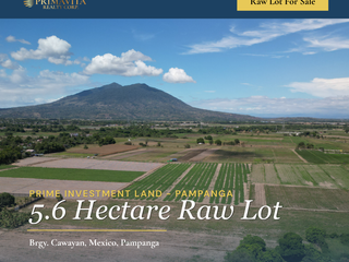 Raw Lot For Sale in Bgy. Cawayan, Mexico, Pampanga Near SM Pampanga