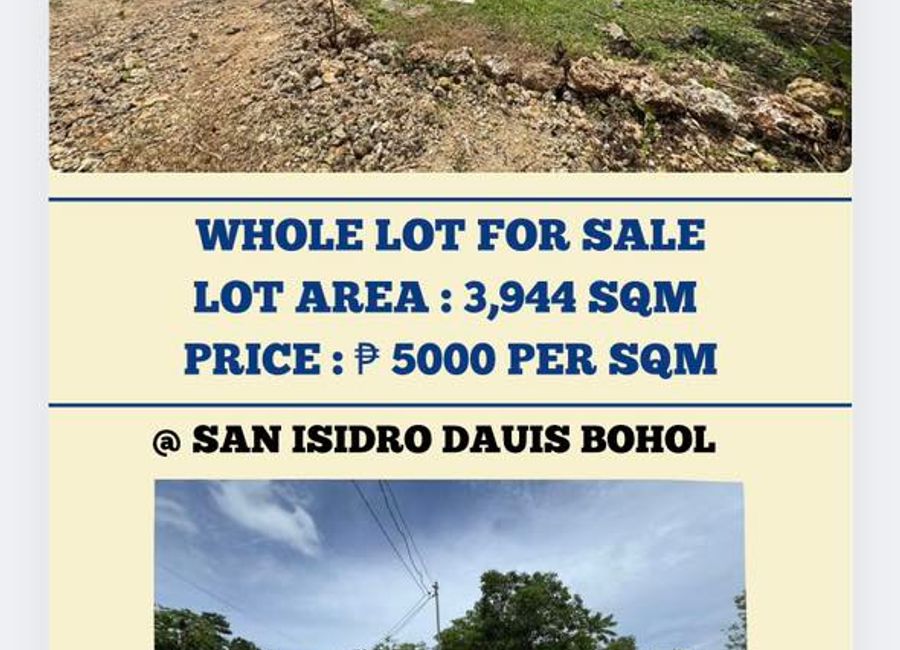 Dauis, Panglao WHOLE LOT FOR SALE - 3,944 sqm
