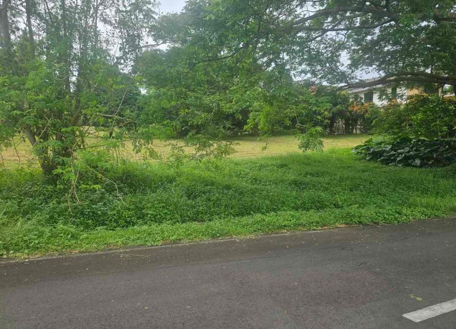 KSB : TAGAYTAY HIGHLANDS PLANTATION HILLS 1,041SQM 15M