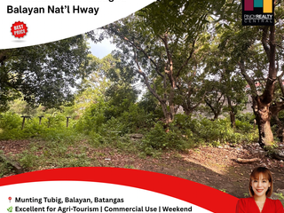 1.1 hectare prime lot in Munting Tubig, Balayan, Batangas near Nasugbu Balayan Provincial Road