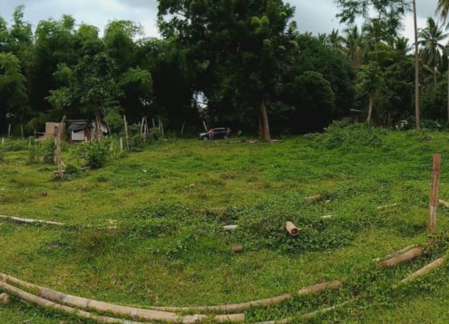 INTERIOR LOT FOR SALE IN VALENCIA ID 15027