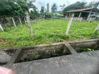 400sqm commercial lot in Babak  Samal island for sale