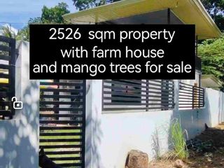 Minifarm With House in Samal Island for sale