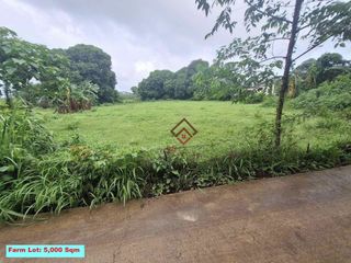 FOR SALE Farm Lots near Anvaya Cove, Morong Bataan
