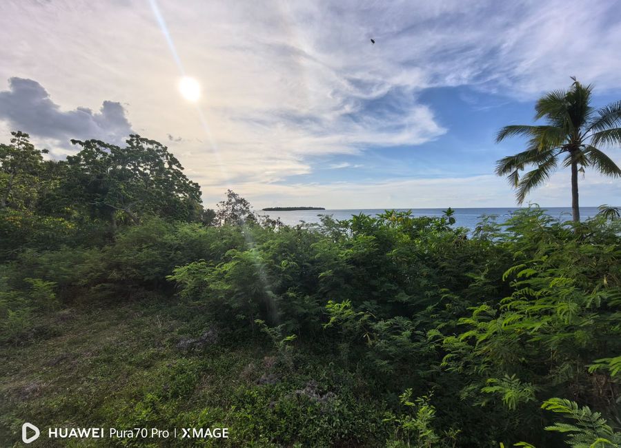 Camotes Island Beach Lot 1559sqm 25m frontage Sonog San Francisco