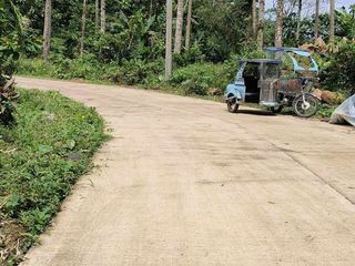 4,000 sq. meters Agricultural Lot For Sale at Tiawe, Lucban, Quezon