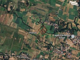 FOR SALE Flat/Riceland in Binongan, Sto. Domingo, Ilosos Sur