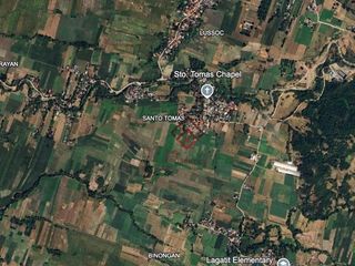 FOR SALE Farm Lot in Sto. Tomas,  Sto. Domingo, Ilosos Sur