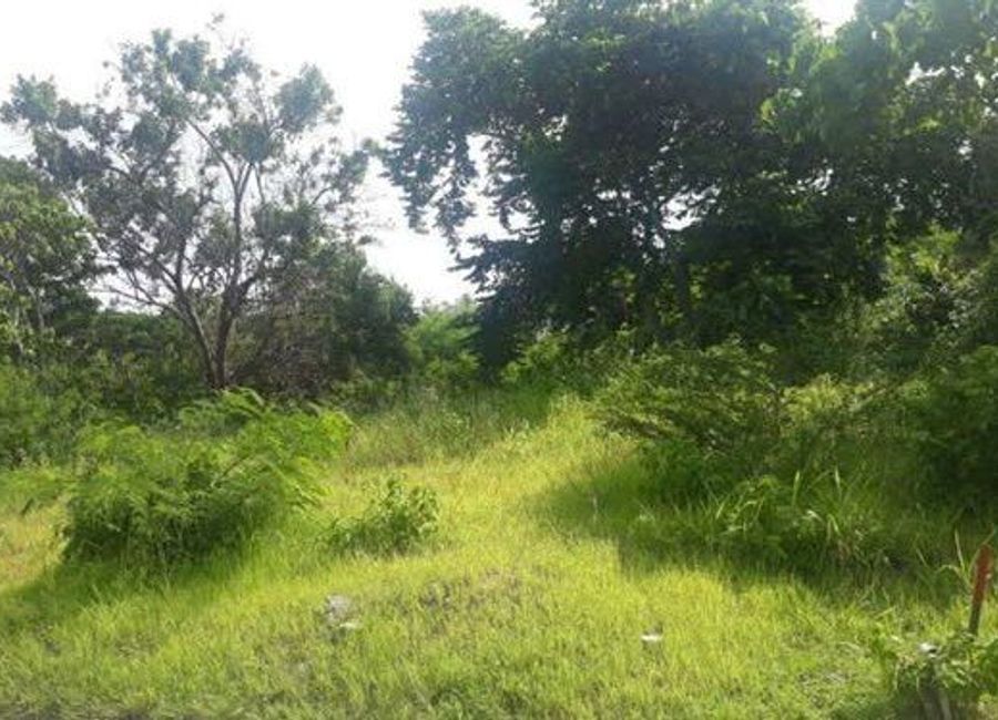 Residential Lot for Sale in Playa Calatagan, Batangas